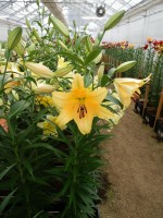 [4144 Corcovado No01.JPG]